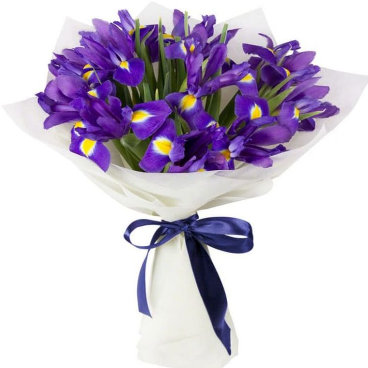 Волна от 3 760 руб.